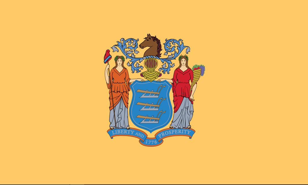 NJ Flag